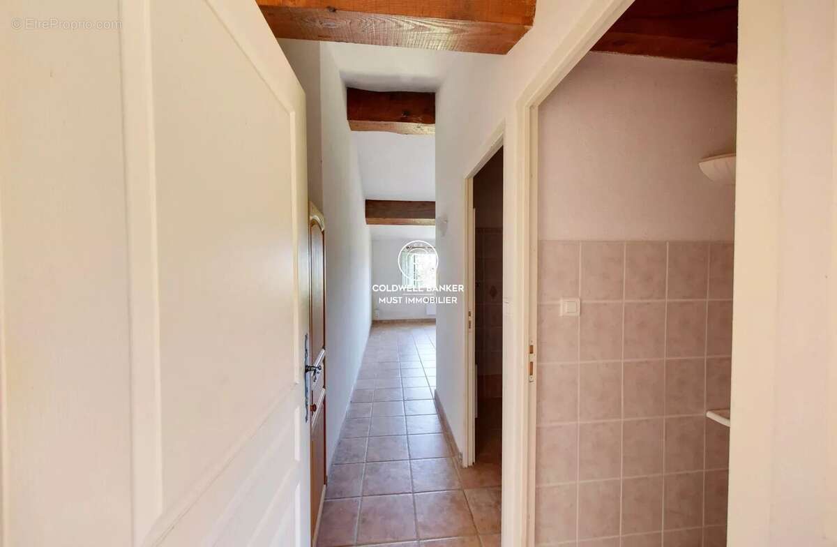 MAS de 295m2 Céret  vue Canigou sur près de 4 Ha - photo 37