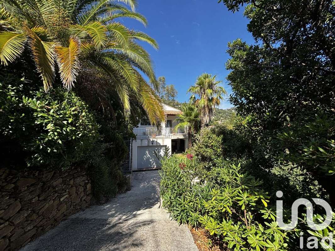 Photo 3 - Maison à RAYOL-CANADEL-SUR-MER