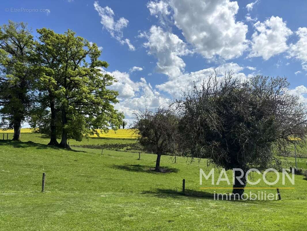 Maison à LE GRAND-BOURG