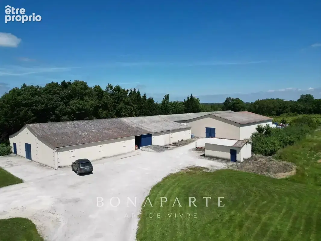 Exclusivité - bégadan - propriété de 1700 m2 de batiments sur plus de 4 hectares - photo 2
