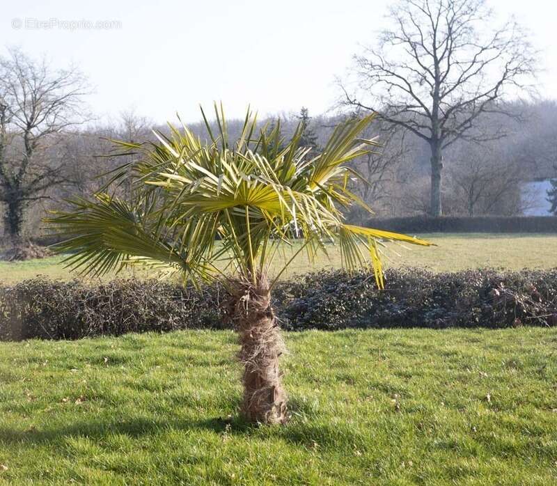 Maison à PARAY-LE-MONIAL