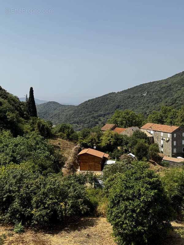 Charmant chalet en bois rénové   Pila-Canale, à 40 minutes d'Ajaccio - photo 13
