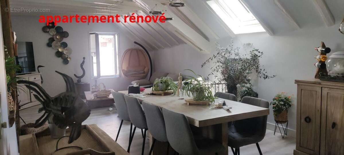 Séjour Appartement rénové  - Appartement à ARTANNES-SUR-INDRE