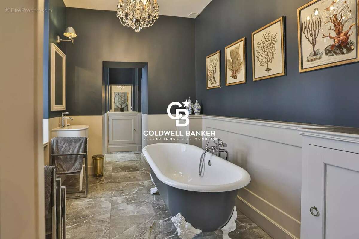 La roche sur yon : exclusivité coldwell banker – l'éveil des sens au cœur du pentagone - photo 5
