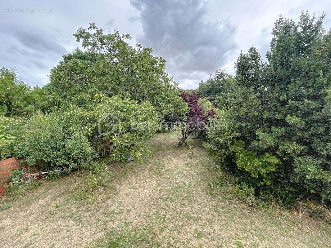 Maison à SOUPPES-SUR-LOING