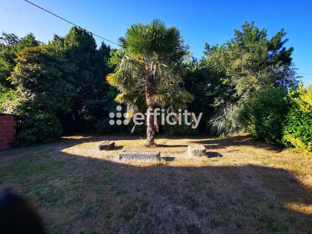 Maison en pierres - photo 29