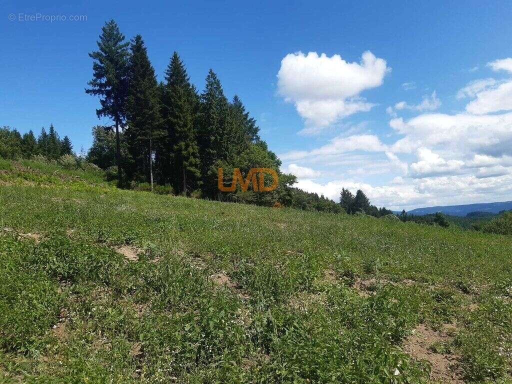 Terrain à LE MONESTIER