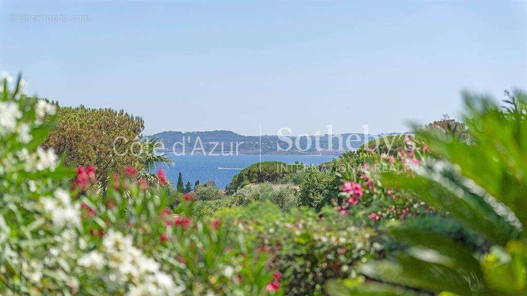 Villa de luxe avec vue sur Saint-Tropez, quartier Sémaphore, Sainte-Maxime - photo 19