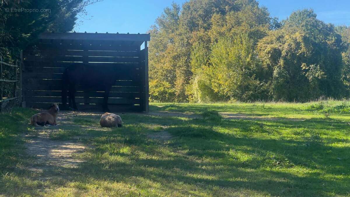 Photo 8 - Maison à NOGARO