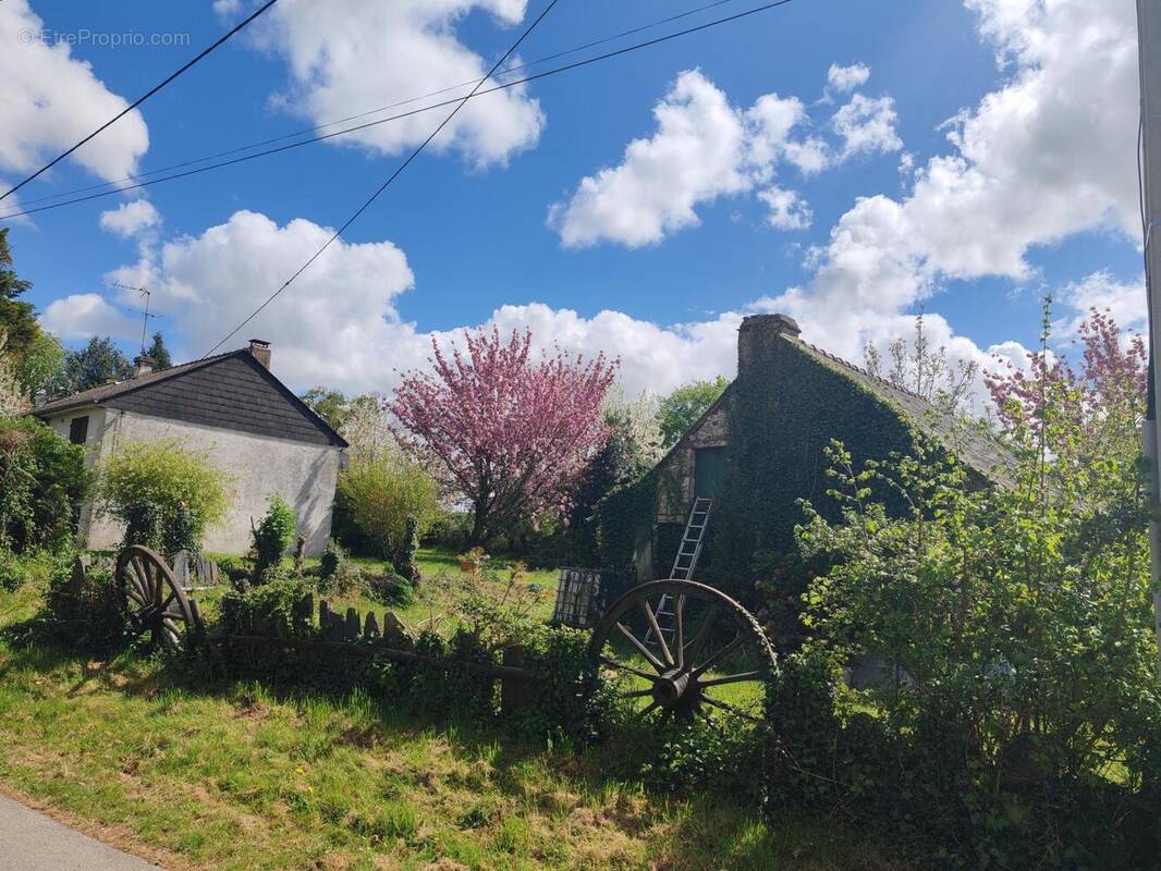 Photo 1 - Maison à LANGON