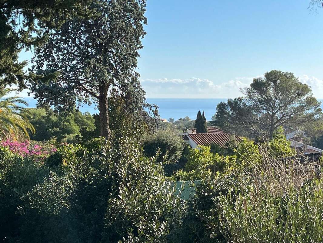Maison 217 m² à Frejus  - photo 2