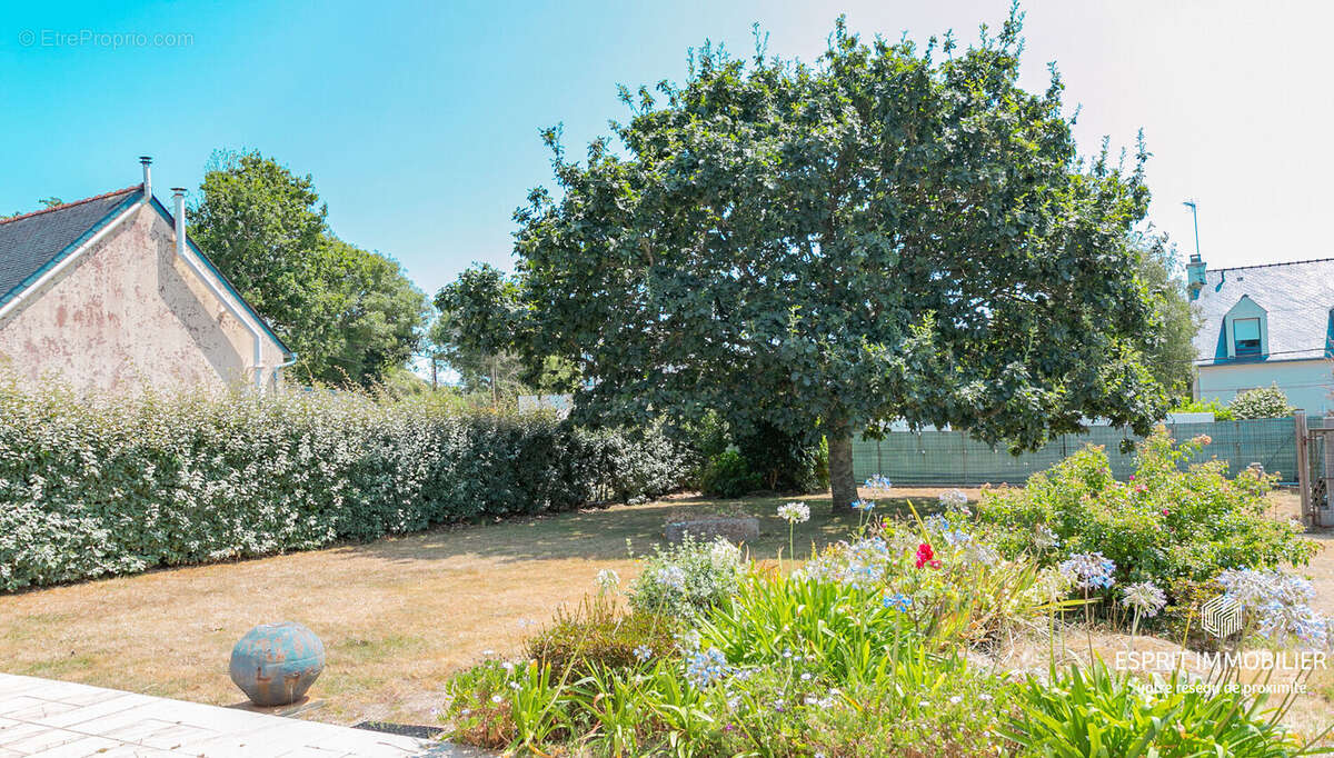 Névez - Maison avec vie de plain-pied proche plage - photo 3