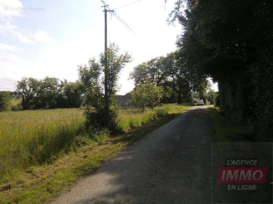 Terrain agricole - photo 6