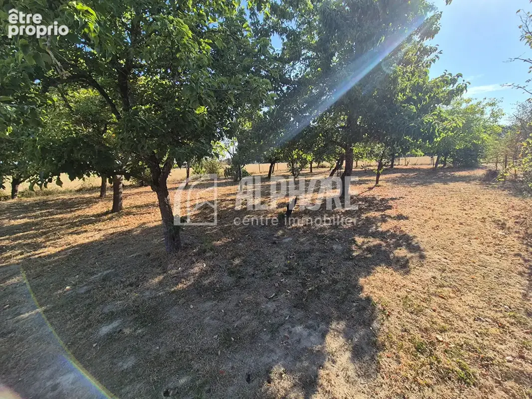 Maison 128m² - 4 chambres + bureau - La Chaize Le Vicomte - photo 5
