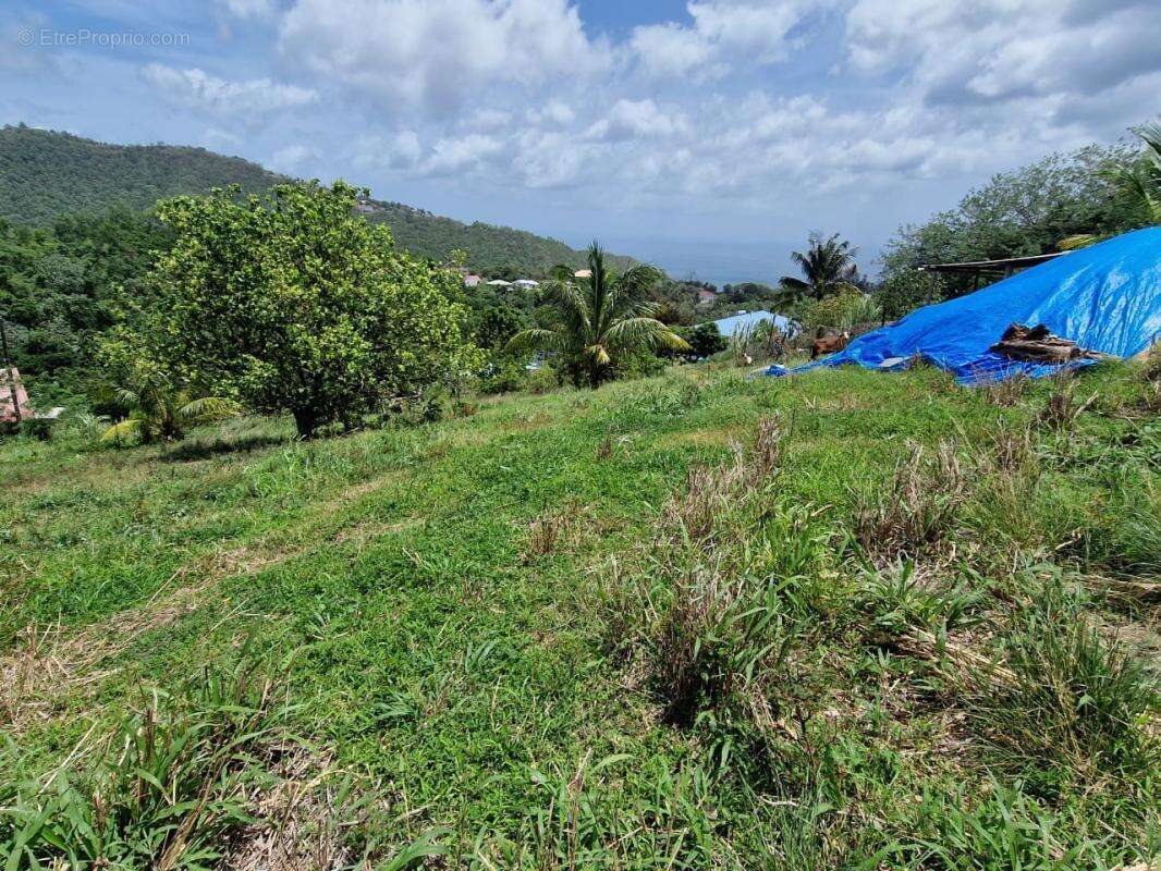 Terrain Le Morne Vert - photo 3
