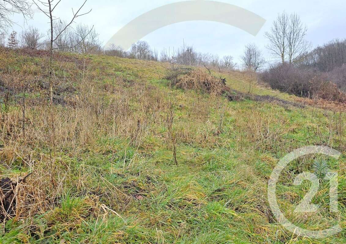 Terrain à MEYRIEU-LES-ETANGS