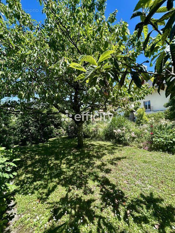 Maison à AIX-LES-BAINS