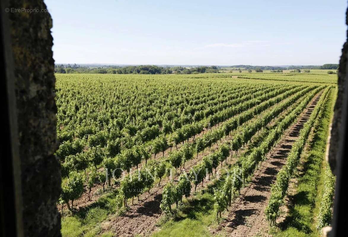 Maison à SAINT-EMILION