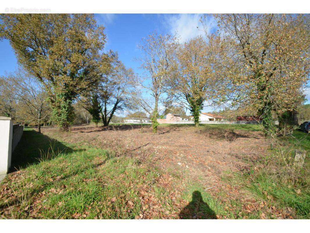 Terrain à PORCHERES