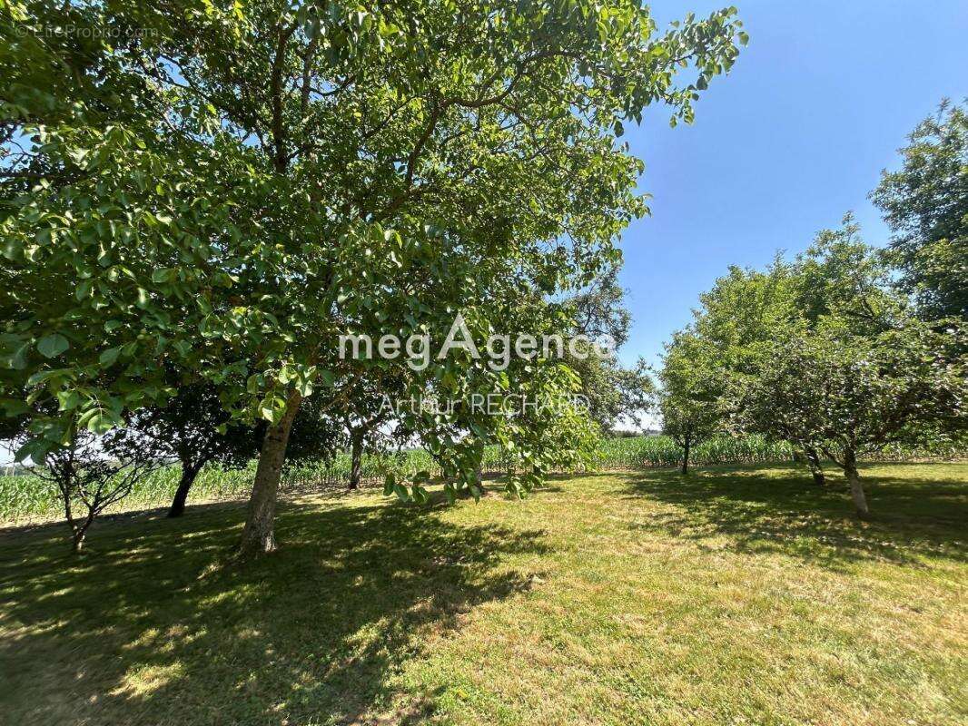 Fermette de 161m2 6 pièces - photo 15