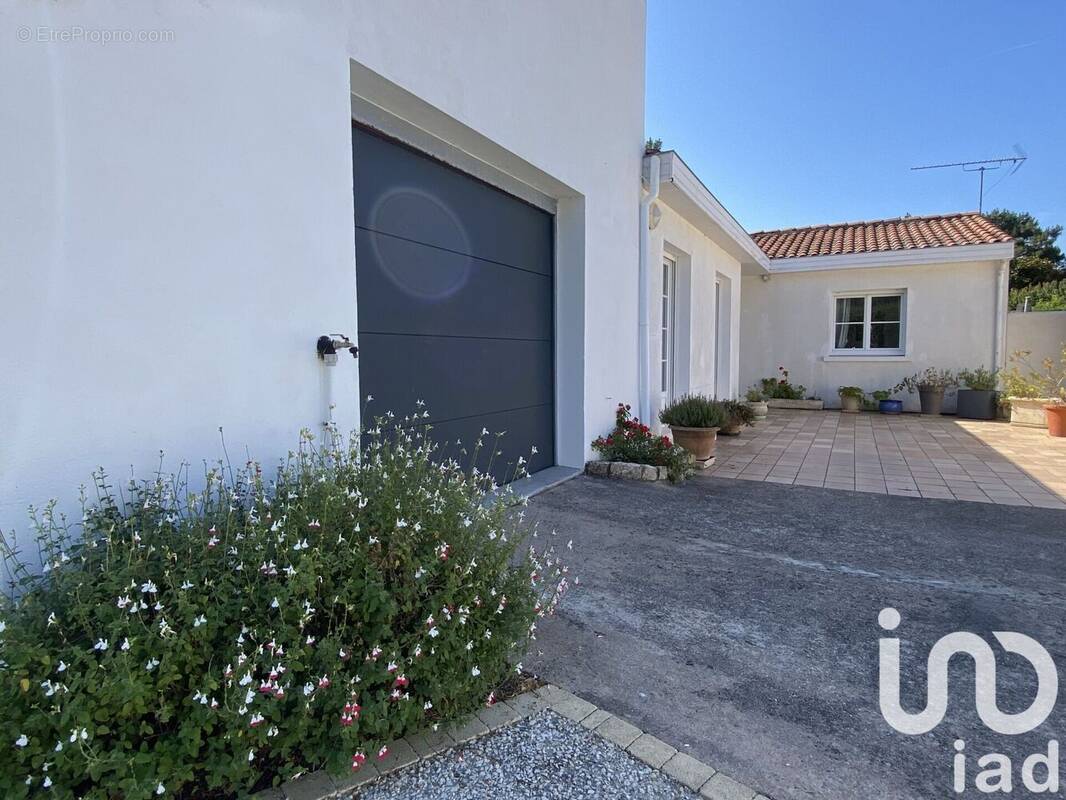 Photo 1 - Maison à SAINTE-MARIE-DE-RE