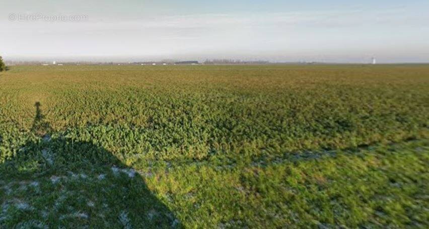 Terrain à LIEU-SAINT-AMAND