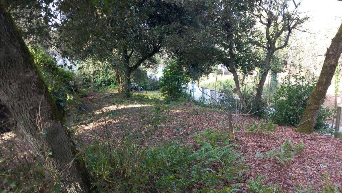 Maison à SAINT-GEORGES-D&#039;OLERON