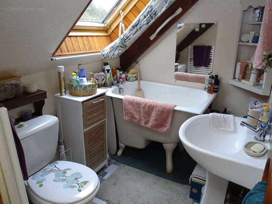 Maison à SAINTE-TREPHINE