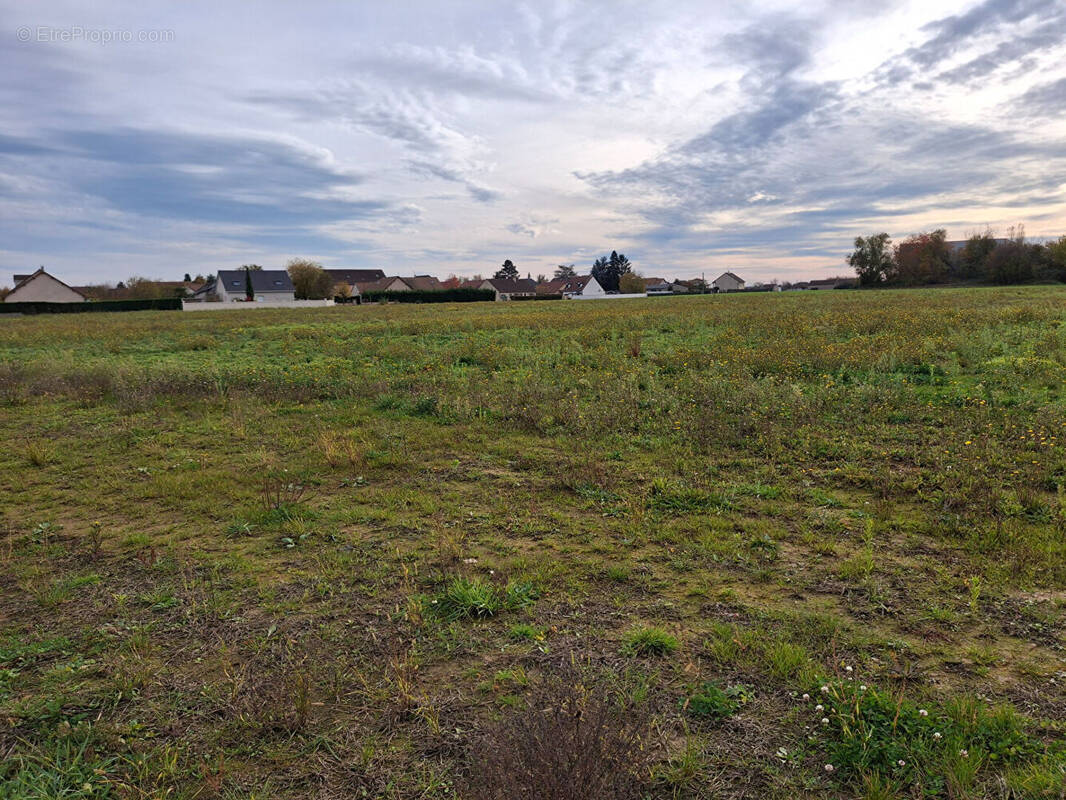Terrain à CRISSEY