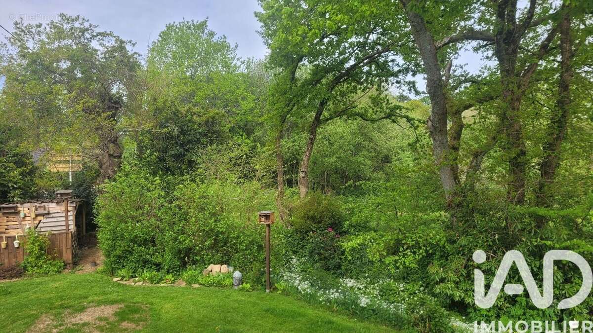 Photo 3 - Maison à CHATEAUNEUF-DU-FAOU