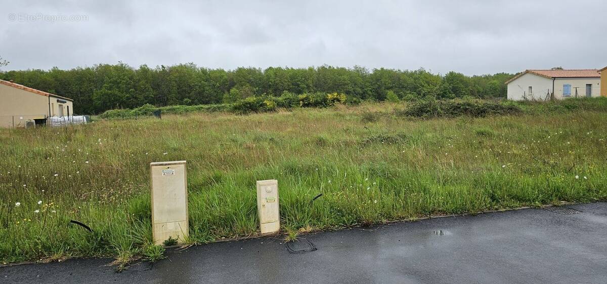 Terrain à CHAZELLES