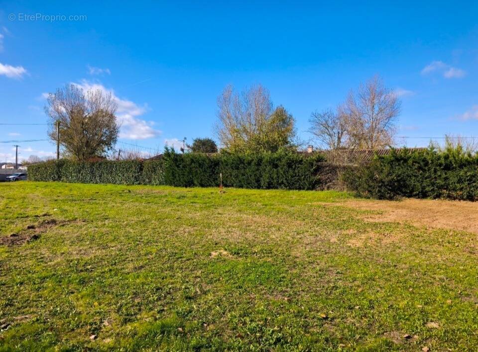 Terrain à COUFOULEUX