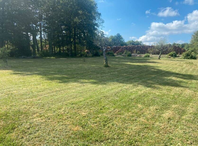 Terrain à AMBAZAC