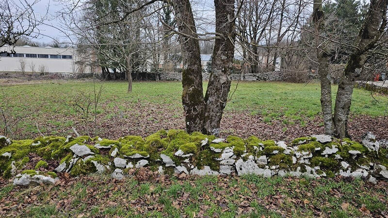 Terrain à SAINT-GERMAIN-EN-MONTAGNE