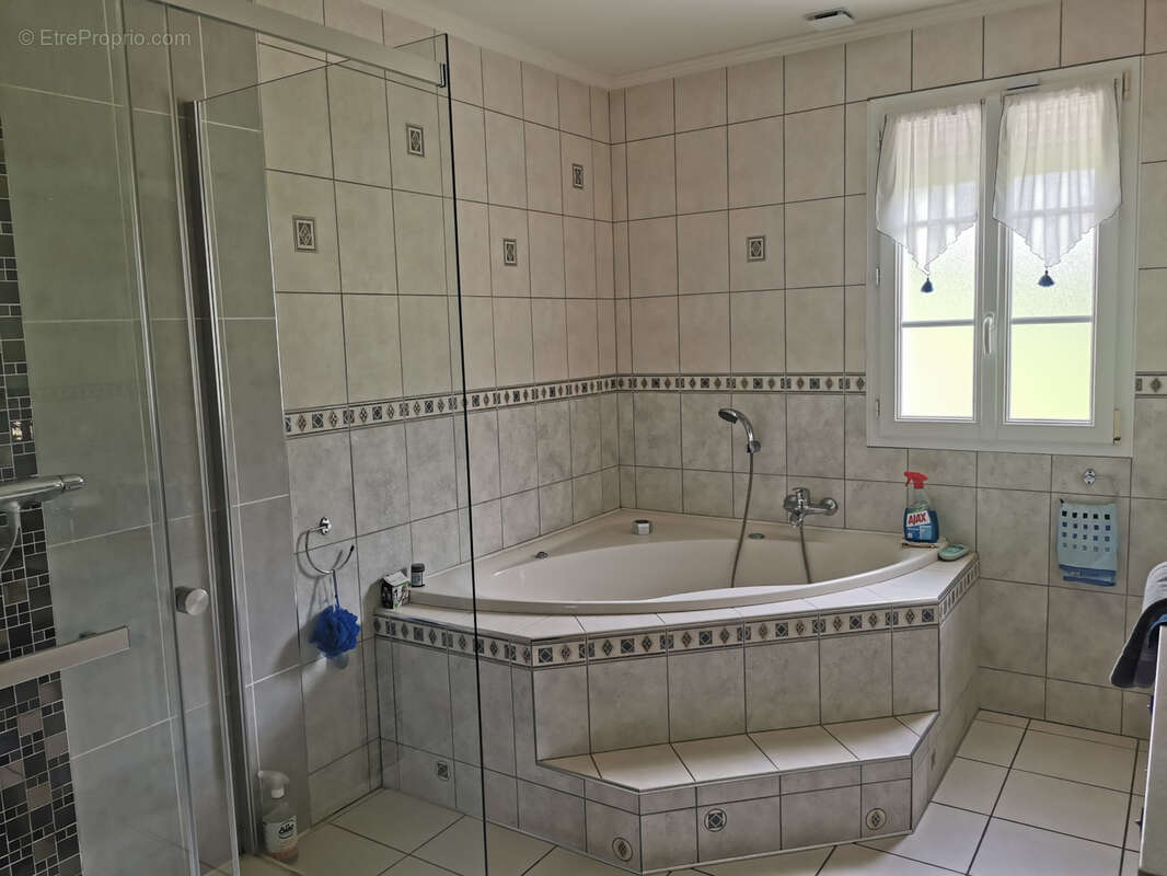 Belle propriété de 6.5ha avec deux étangs - photo 13