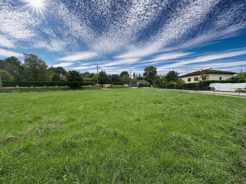 Terrain à CORNEBARRIEU