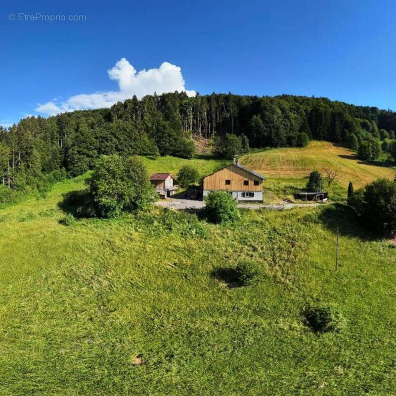 LA RIVIERE ENVERSE- Ferme authentique de 200m2 - A vendre - photo 4
