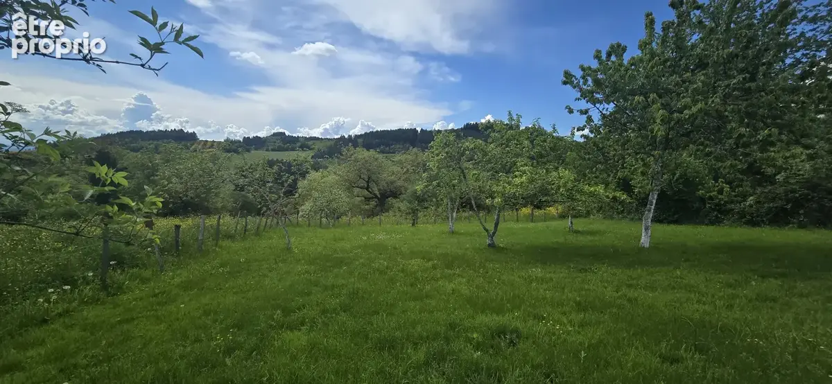 Ensemble immobilier : deux maisons, dépendances, terrains et potentiel locatif - photo 18