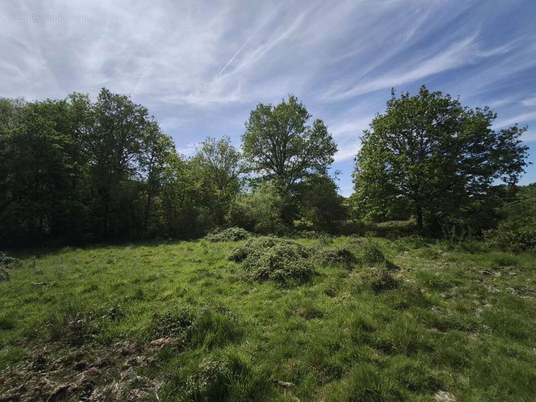 Autre à LOREUX