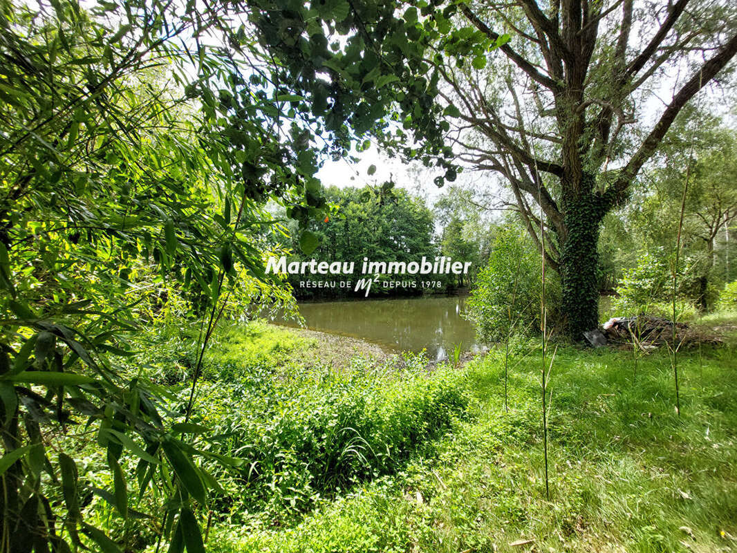 Terrain de loisirs Yvre L Eveque - photo 2