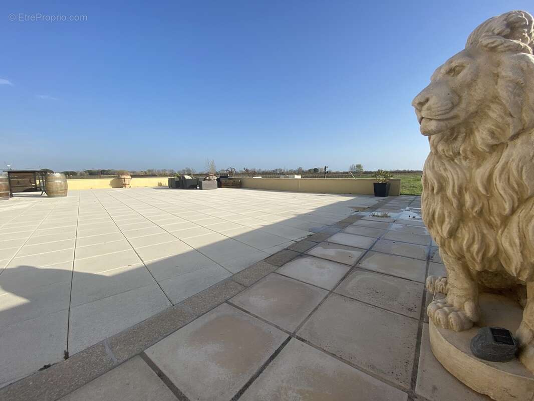 Maison à AIGUES-MORTES