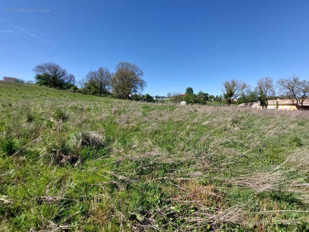 20260408154331 - Terrain à SAINT-MARTORY