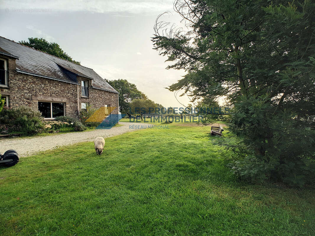 Vente d'un domaine professionnel à fort potentiel sur la commune de Missillac - photo 6