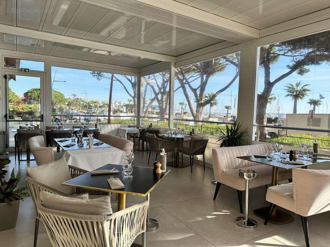 Commerce à MANDELIEU-LA-NAPOULE