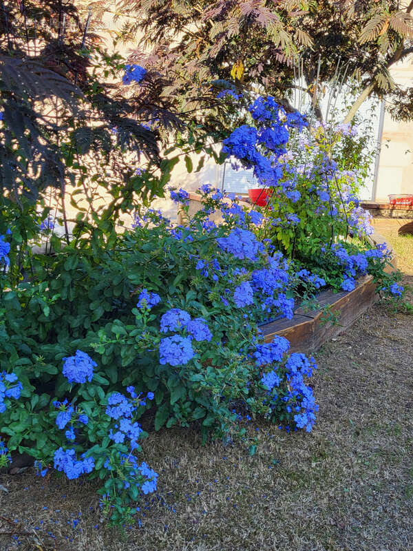 Maison à SAINT-CLAIR