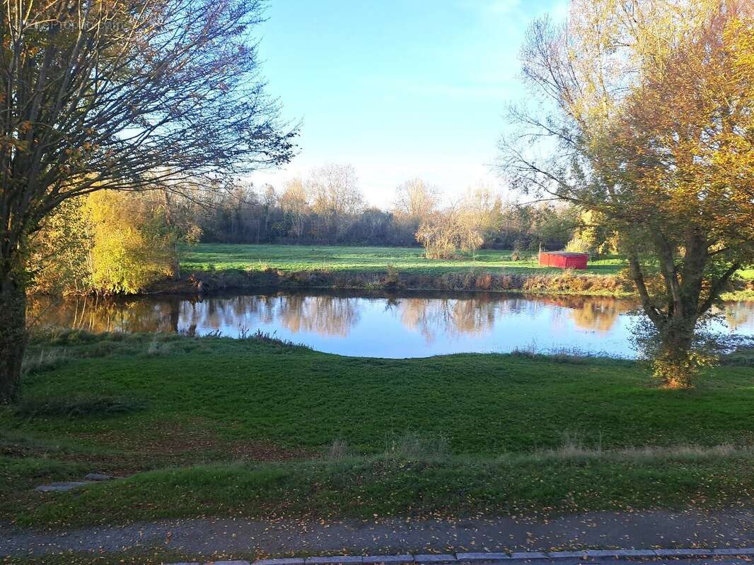 Appartement à ROCHEFORT-SUR-LOIRE