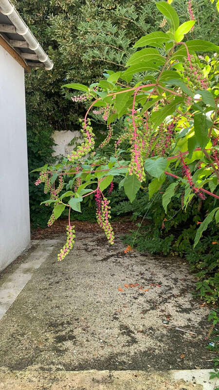 Appartement à ROYAN