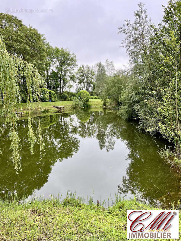 Terrain à SERMAIZE-LES-BAINS