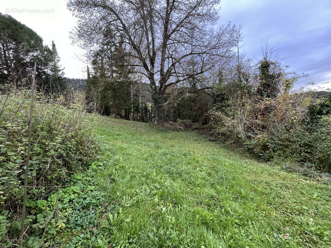 A vendre maison + dependances sur 1,2ha de terrain    chalabre - photo 13