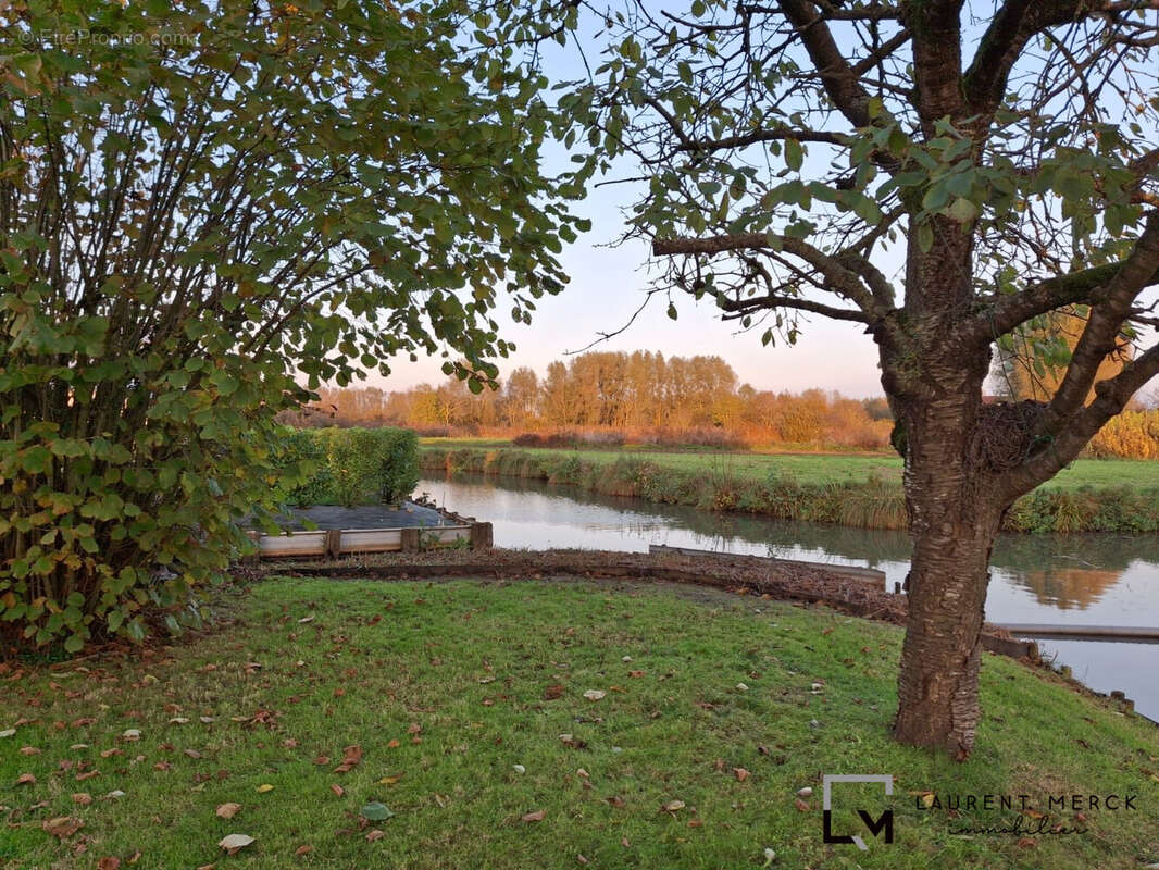 Maison à SAINT-OMER